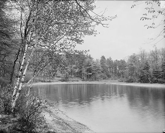 Climate Change and Thoreau's Profound Data Preservation